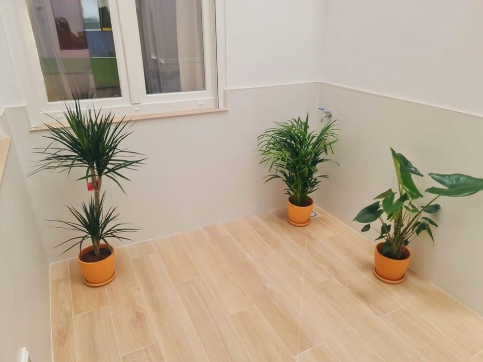 Patio, Balcony/Terrace