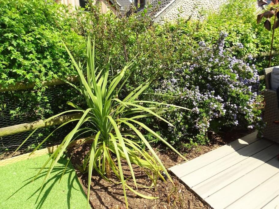 3 double bed house with parking in Sheringham House in Sheringham