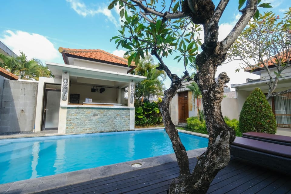 Day, Garden, Swimming pool