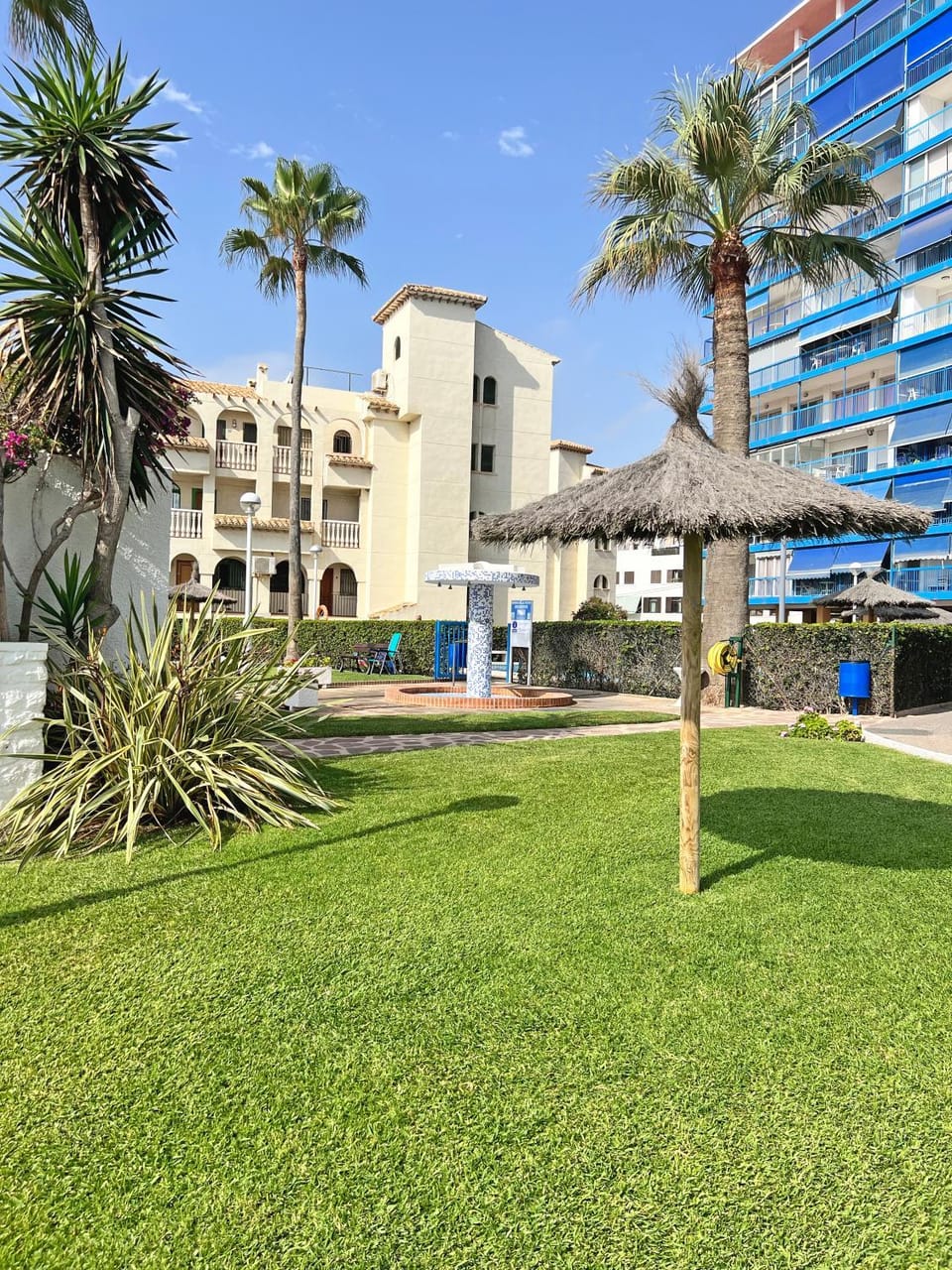 Property building, Garden, Garden view