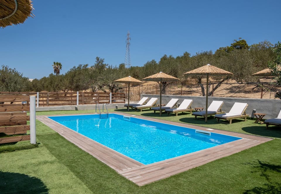 Day, Garden, Garden view, Pool view, Swimming pool, Swimming pool, sunbed