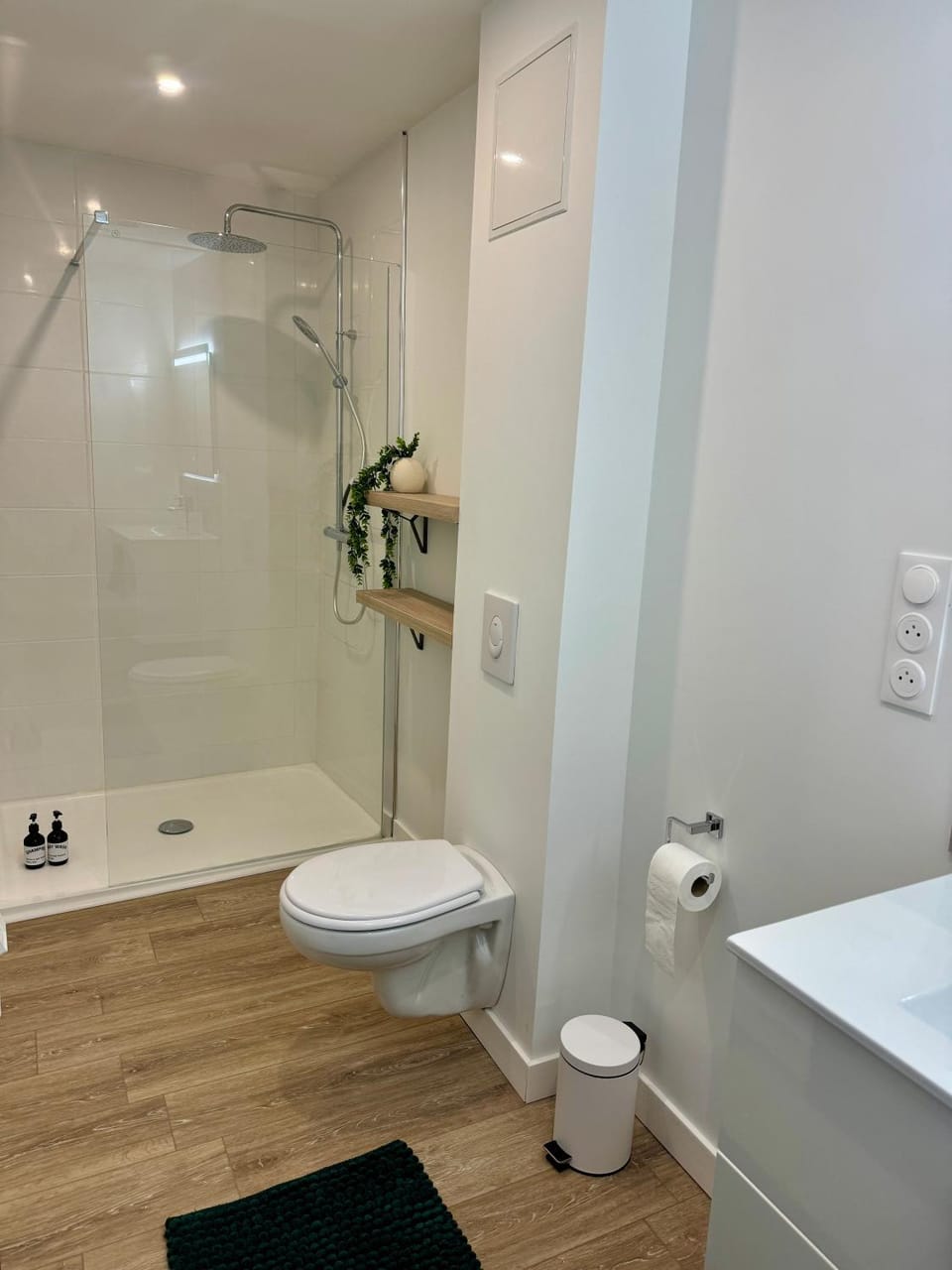 Shower, Toilet, Bathroom, towels