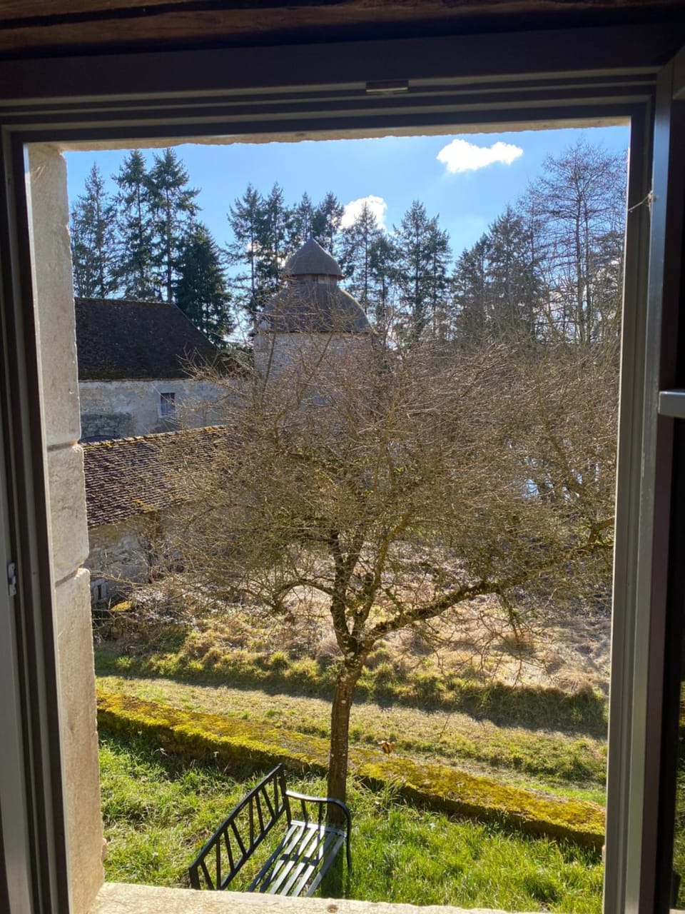 Garden view