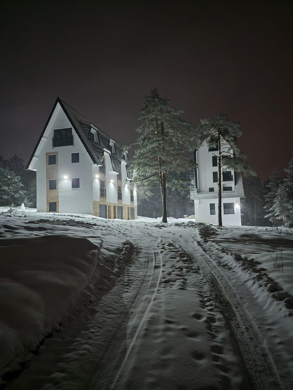 Studio Planinski san Divčibare Apartment in Zlatibor District, Serbia