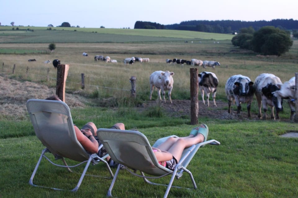 La Cab'Armande Nature lodge in Belgium