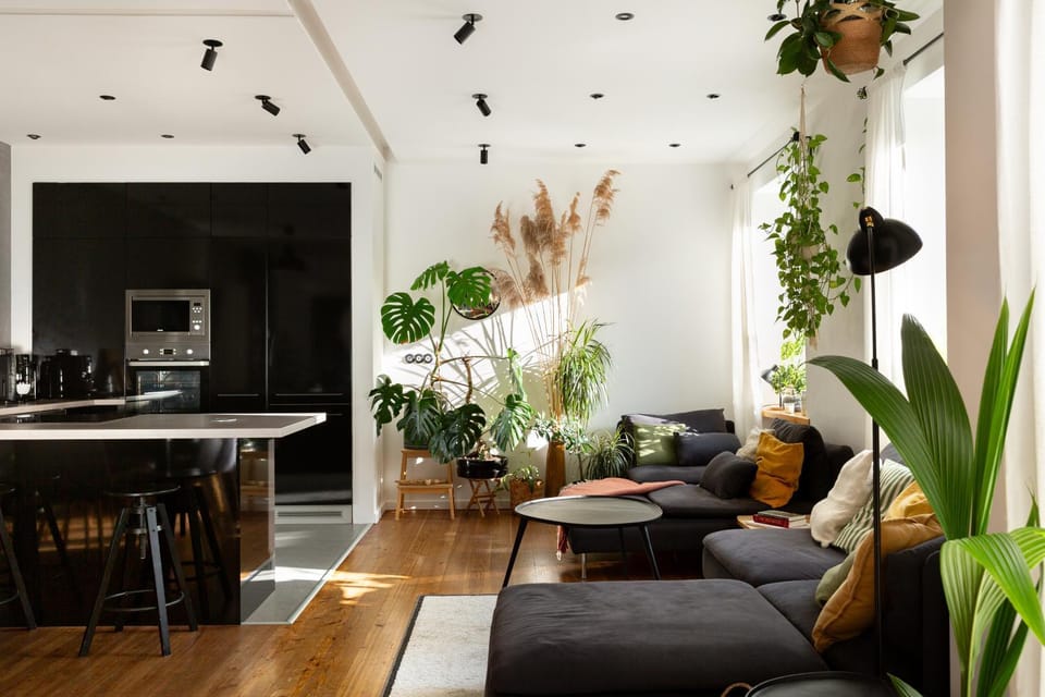 Living room, kitchen