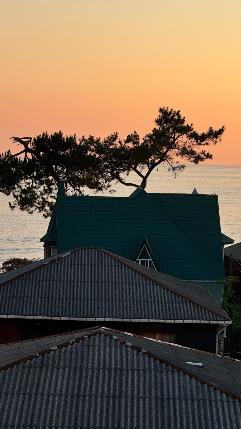 Day, Sea view, Sunrise, Sunset