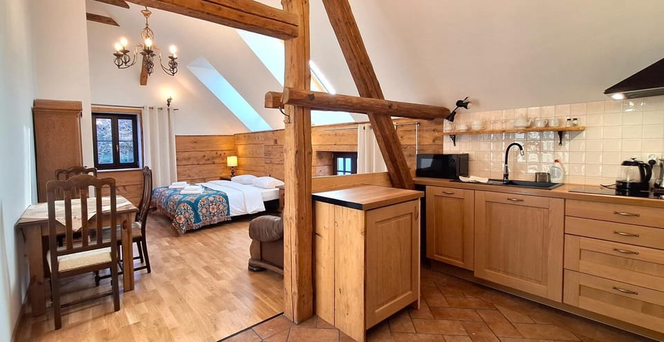 Bed, Coffee/tea facilities, Kitchen or kitchenette, Photo of the whole room, stove