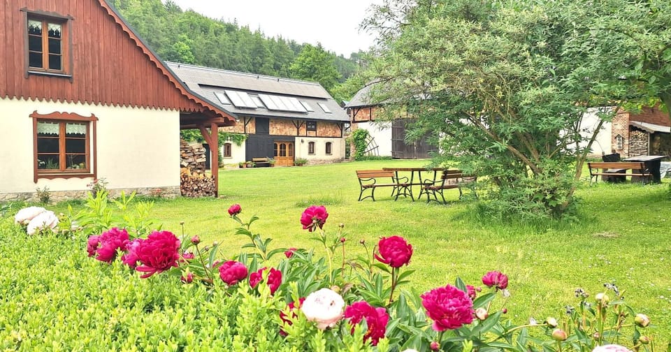 Property building, Garden