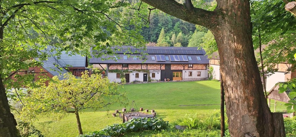 Property building, Spring, Day, Garden, Garden