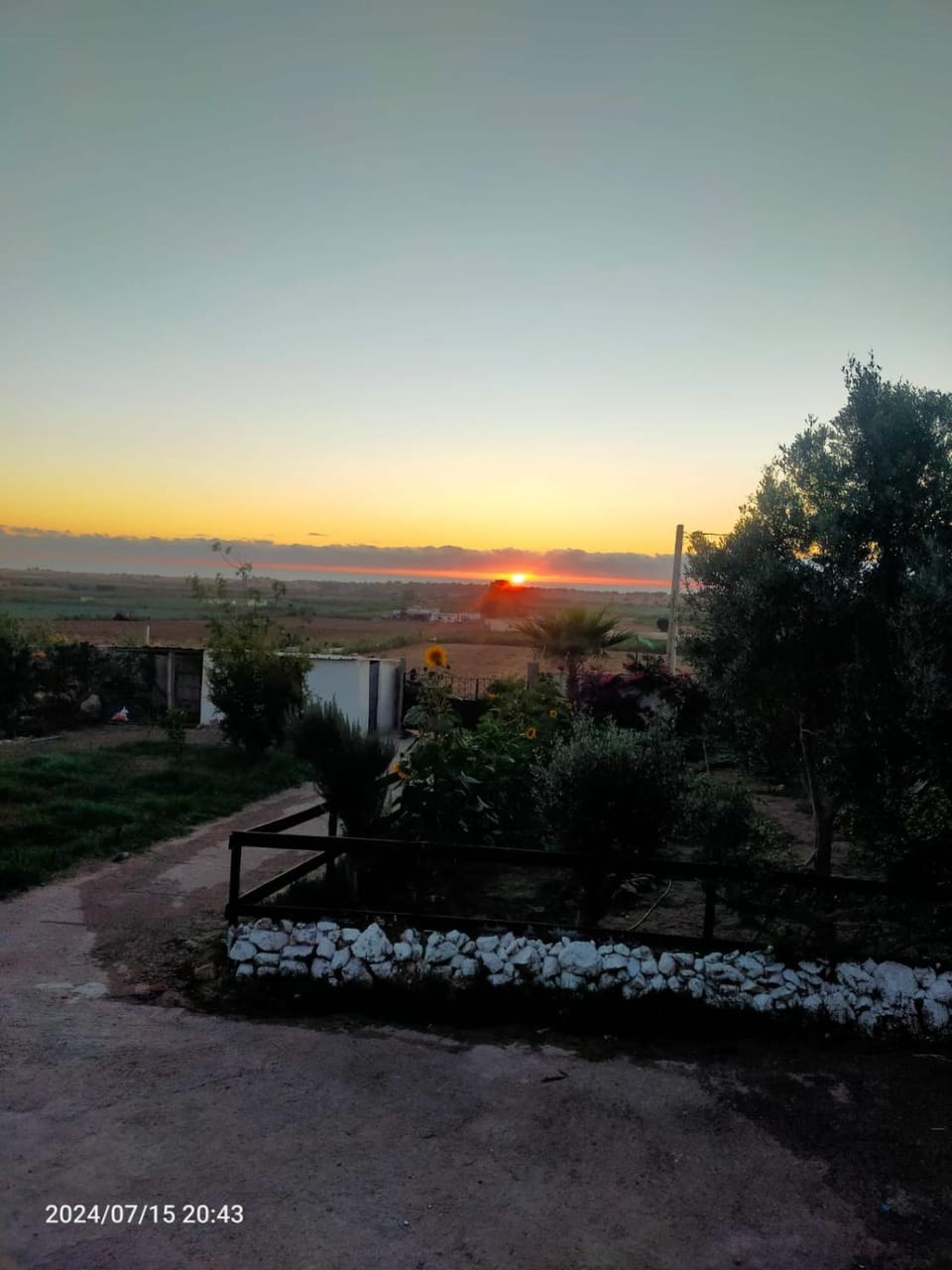 Garden, View (from property/room)