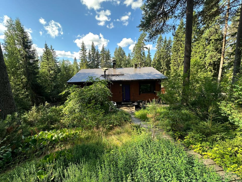 Garden view