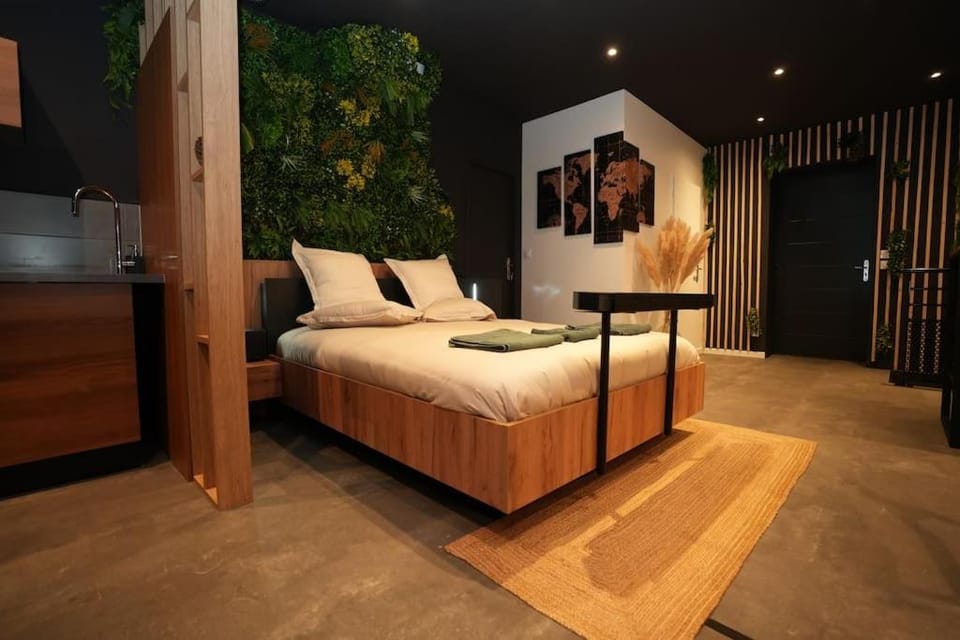 Ciné jungle duplex balnéo Apartment in Auvergne-Rhône-Alpes
