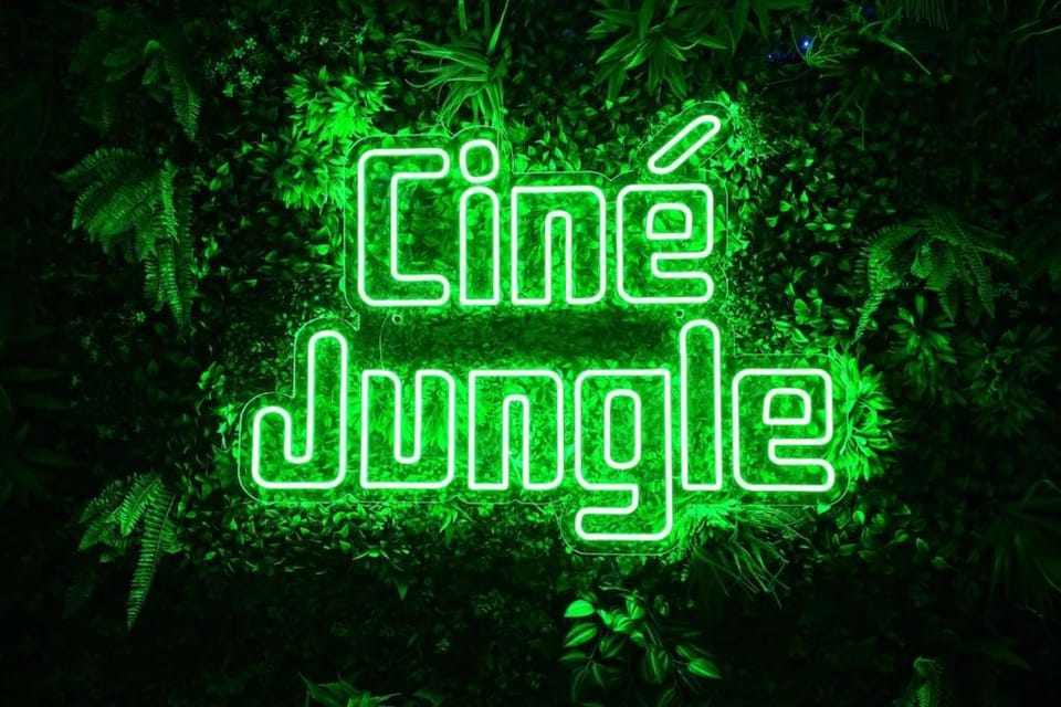 Ciné jungle duplex balnéo Apartment in Auvergne-Rhône-Alpes