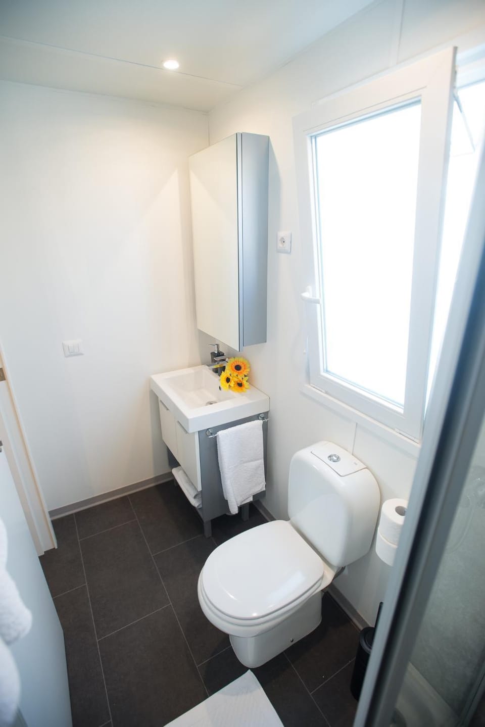 Shower, Toilet, Bathroom, Location, towels