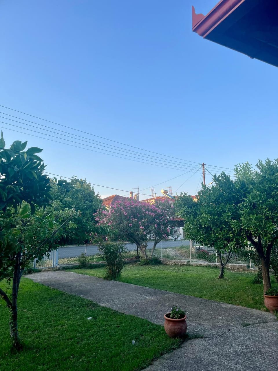 Spring, Day, Natural landscape, Garden, Garden view
