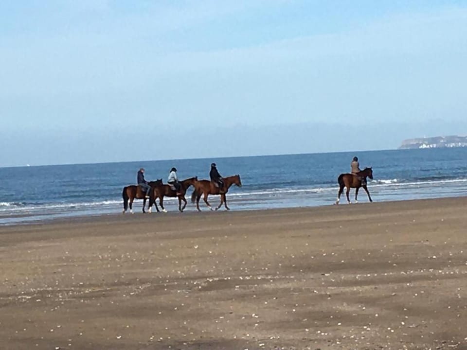 Horse-riding