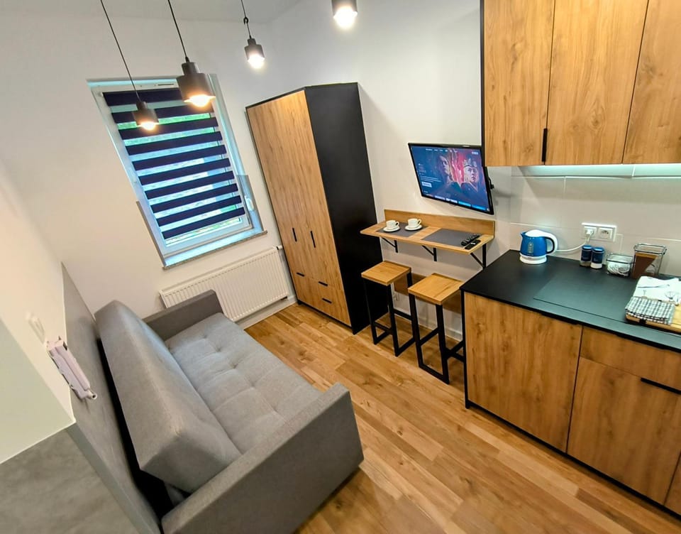 TV and multimedia, Kitchen or kitchenette, Living room, Dining area, oven