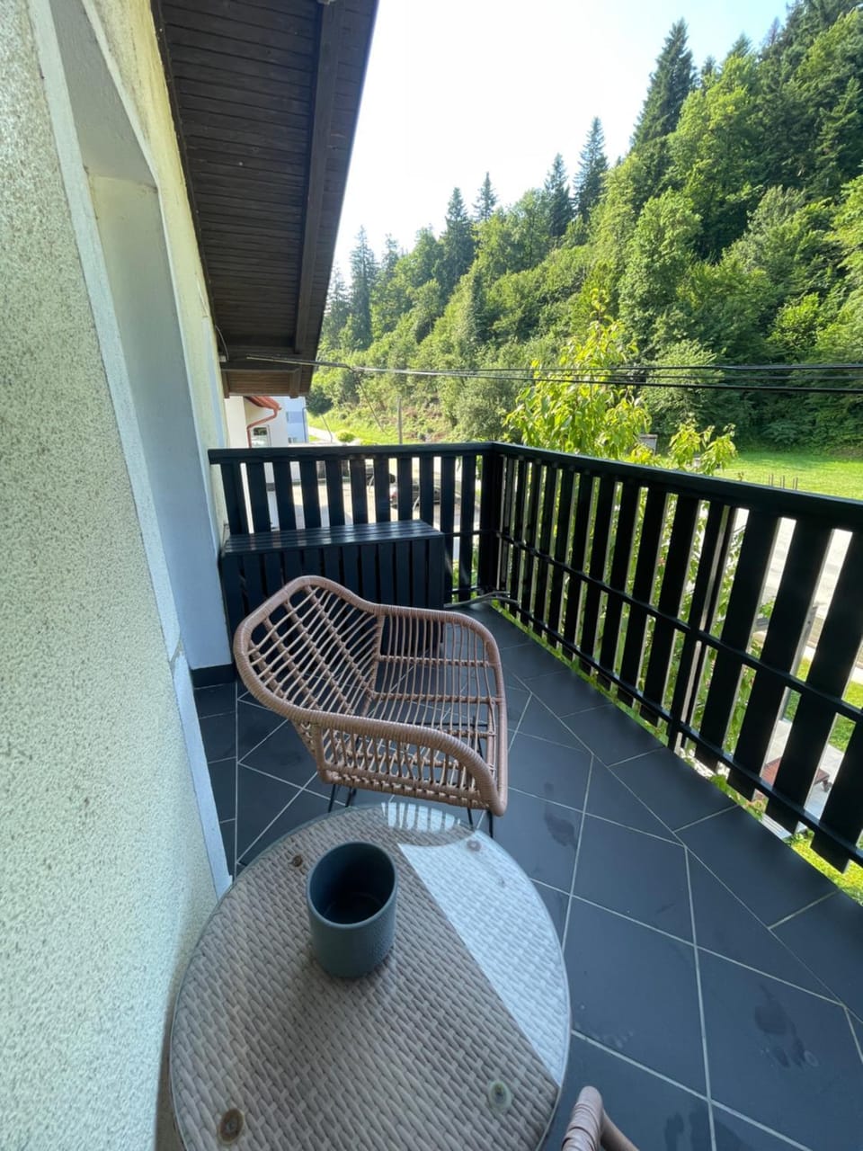 Natural landscape, View (from property/room), Balcony/Terrace, Balcony/Terrace