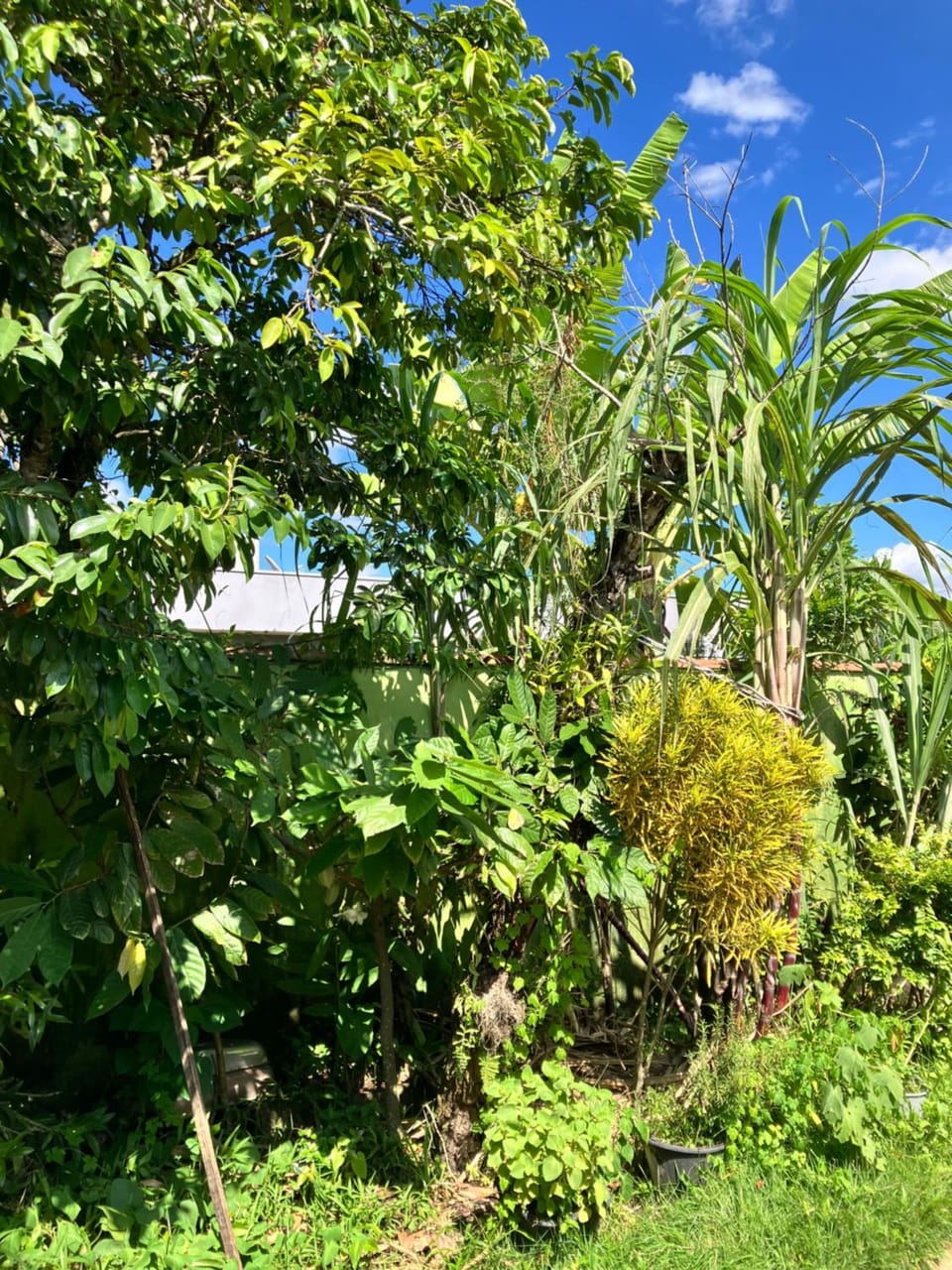 Casa de praia House in Caraguatatuba