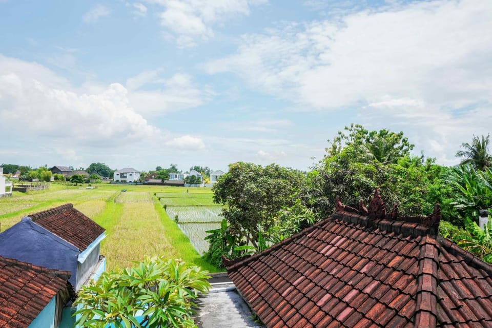 View (from property/room)