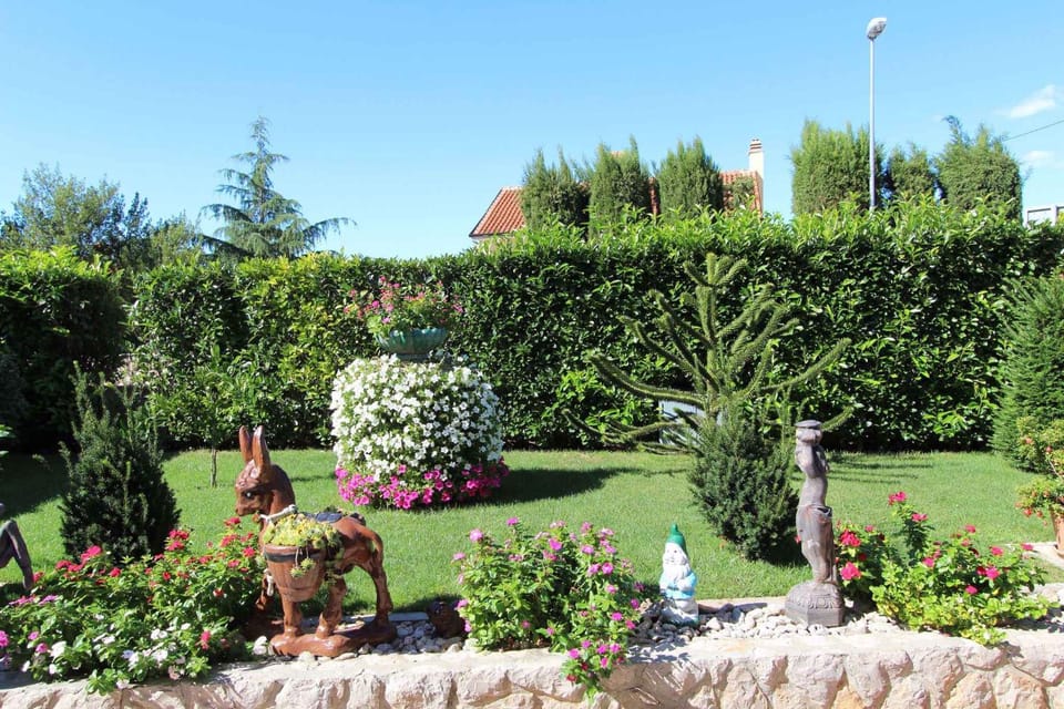 Summer, Garden