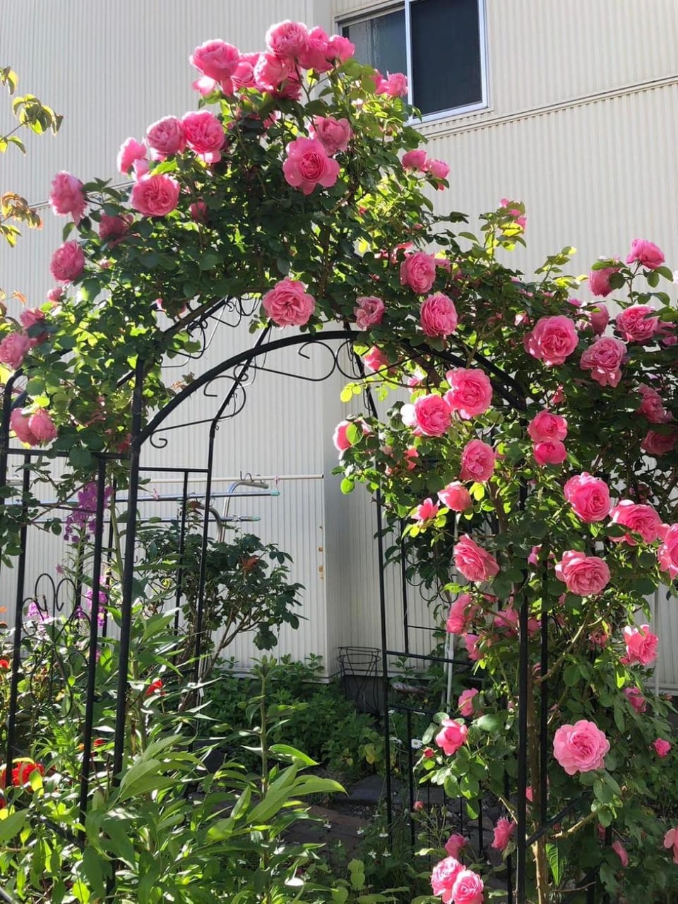 Garden, Garden