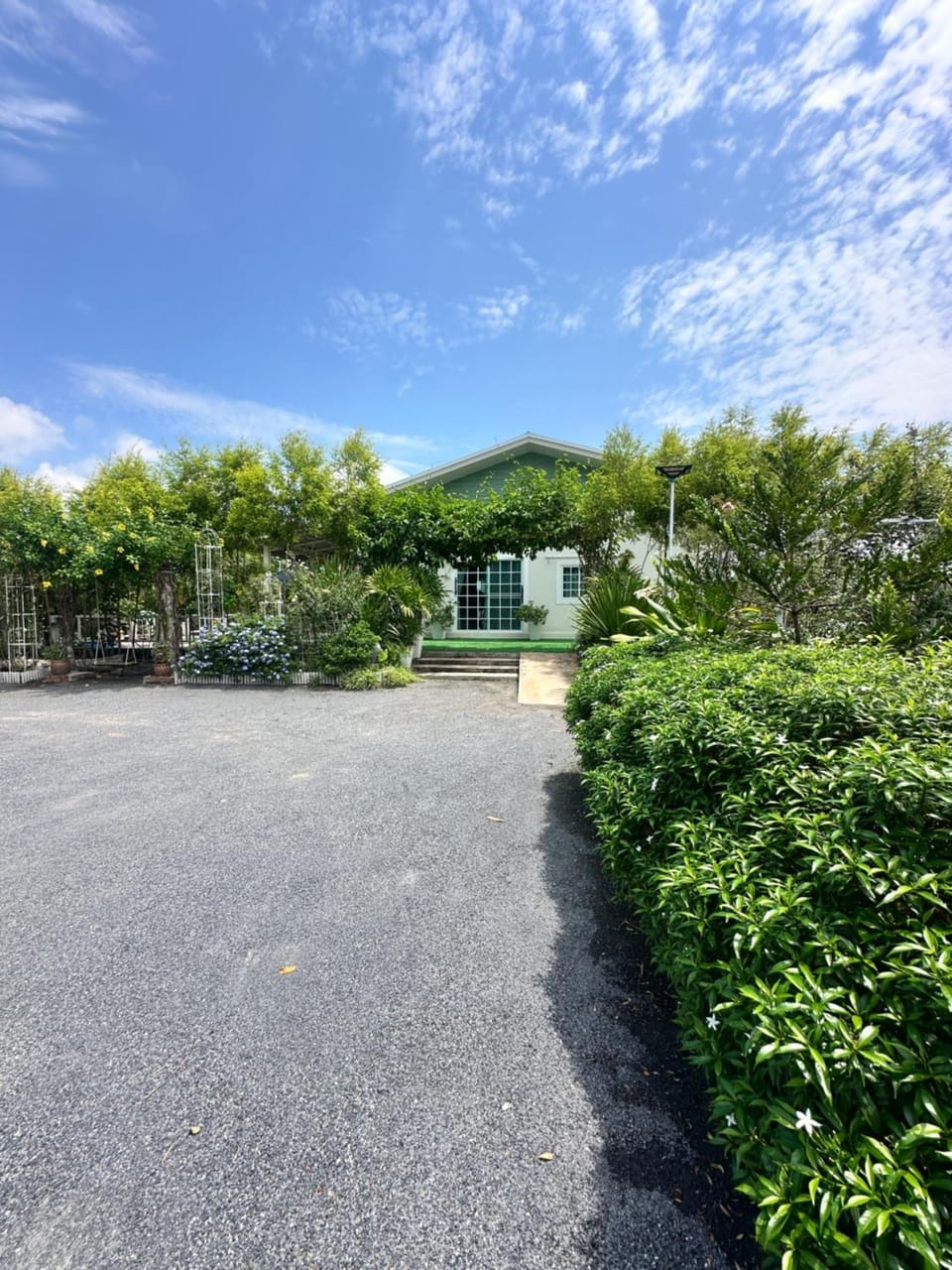 Day, Natural landscape, Garden view