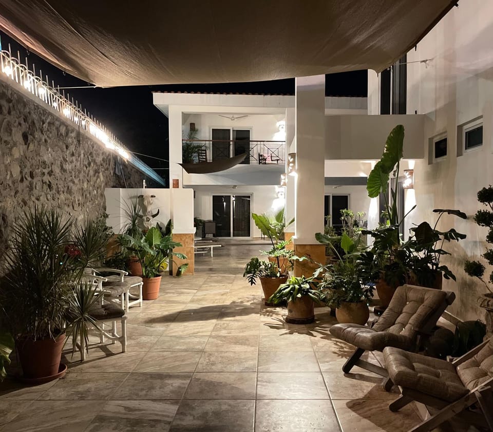 Patio, Night, Garden, Garden, Seating area, Garden view