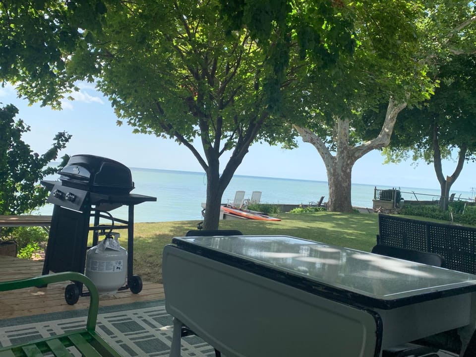 Patio, BBQ facilities, Lake view