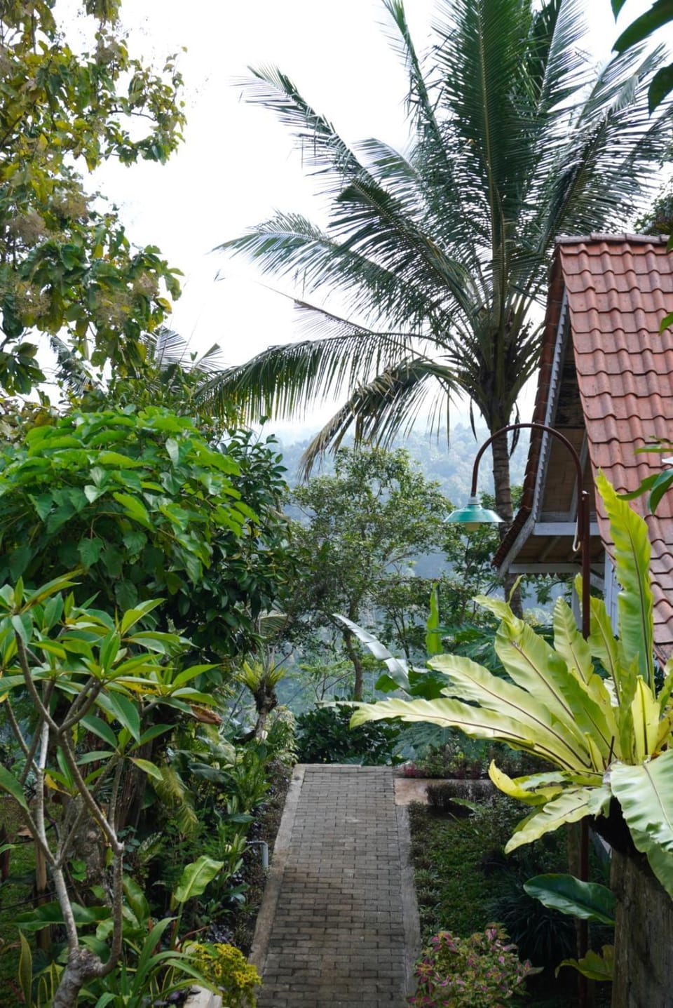 Natural landscape, Garden