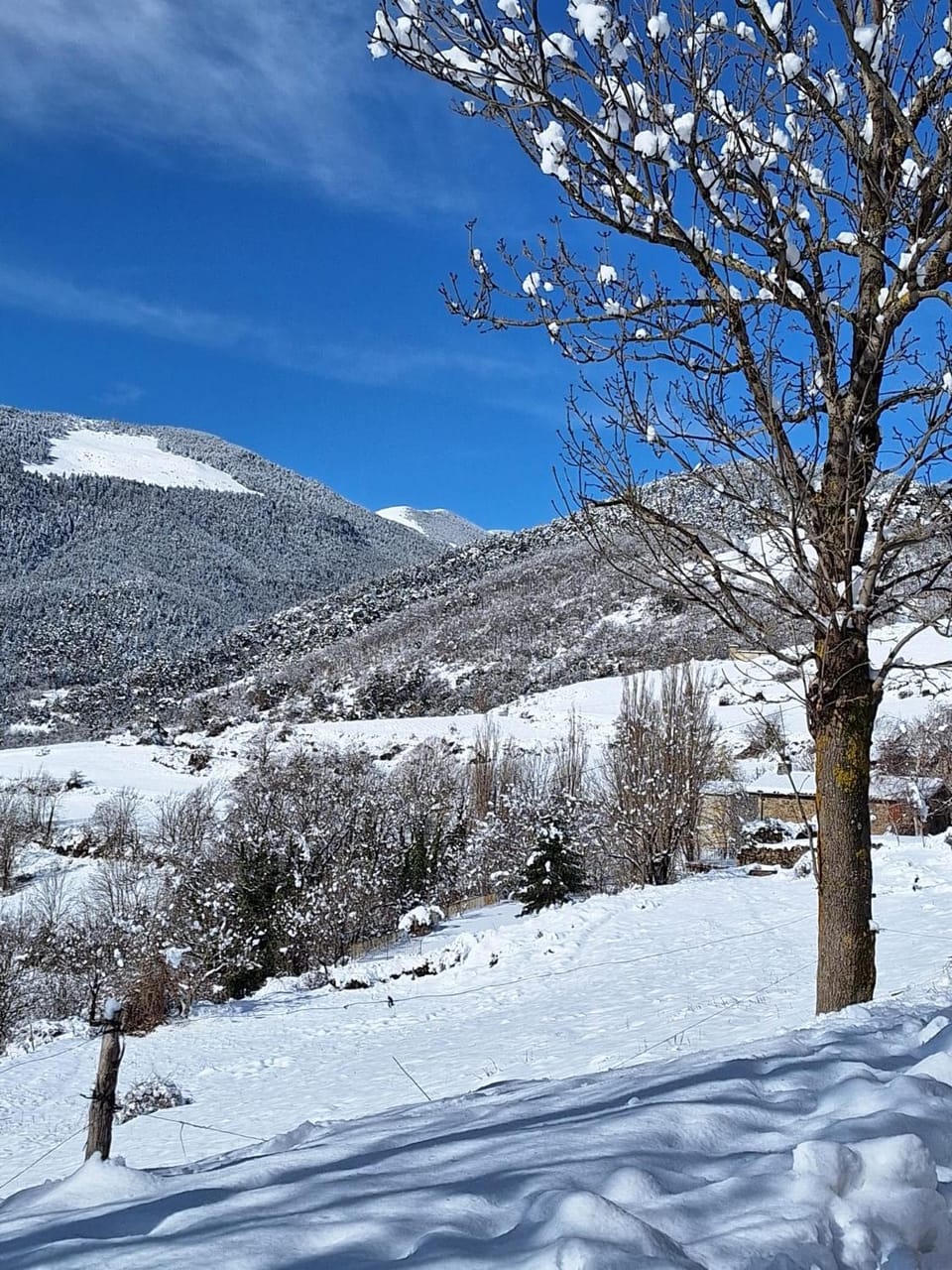 Rectoria Nova Bed and Breakfast in Ripollès