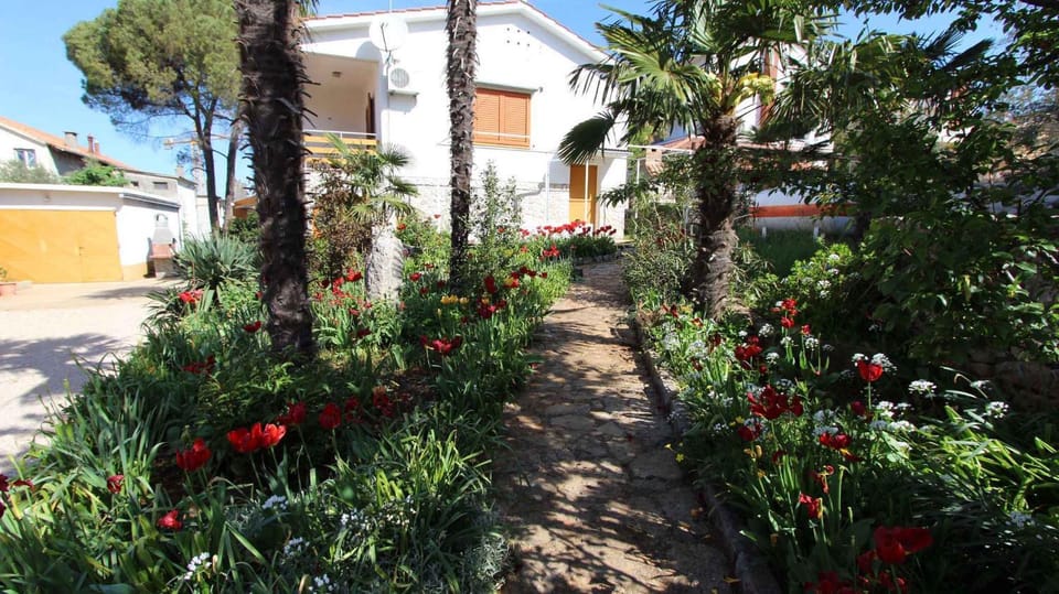 Property building, Summer, Garden