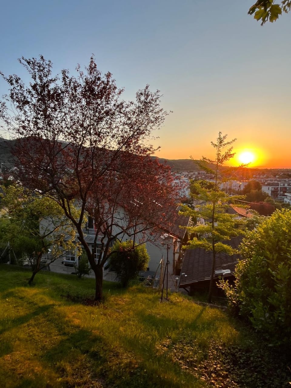Garden, View (from property/room), Sunrise