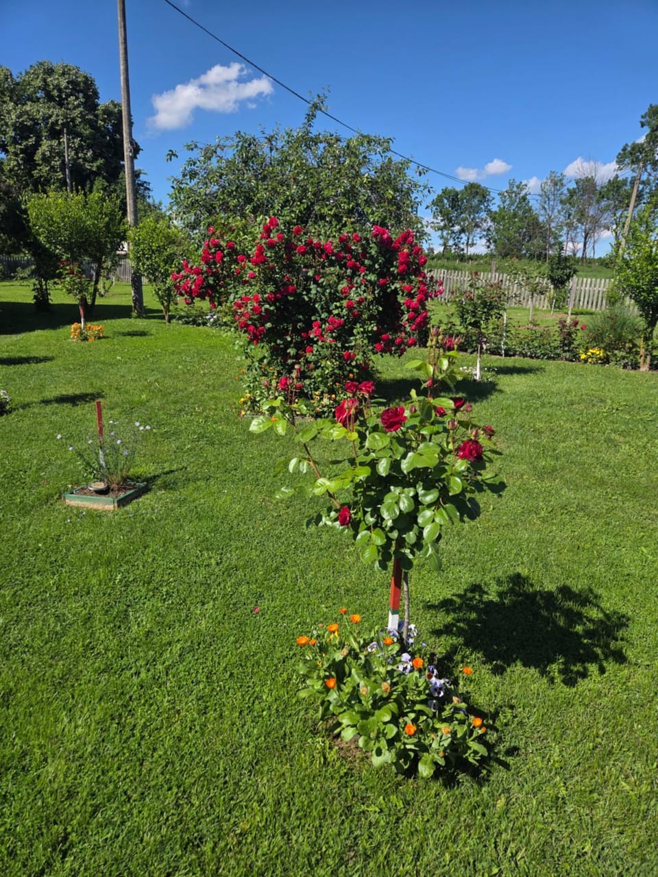Spring, Day, Natural landscape, Garden, Garden view