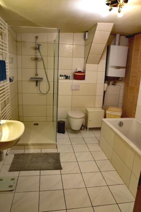Shower, Toilet, Bathroom, Bath