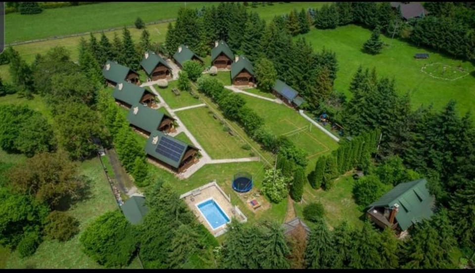 Bird's eye view, Garden, Pool view, Swimming pool
