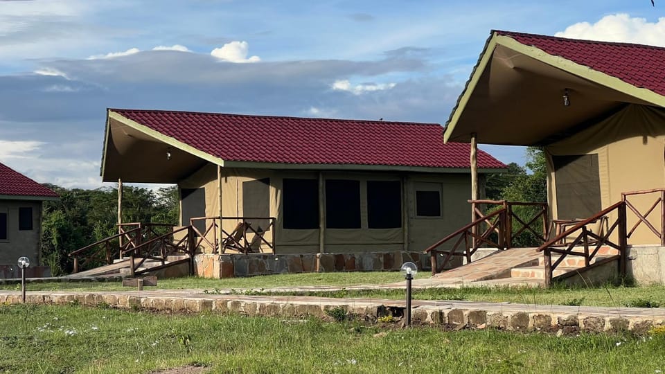 Property building, Day