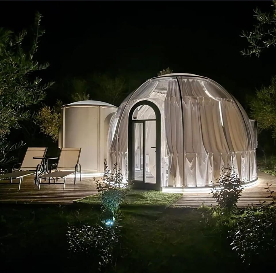 Property building, Patio, Night, Garden view