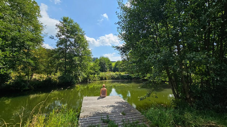 Lake view