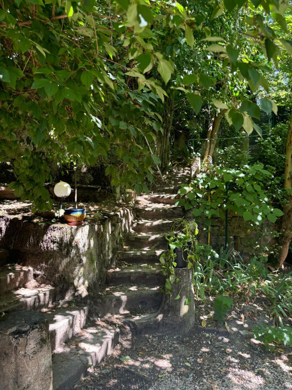 Natural landscape, Garden, Garden view