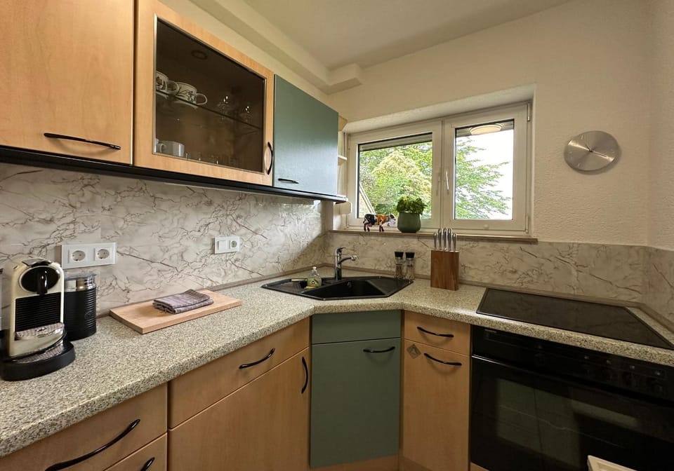 Kitchen or kitchenette, kitchen
