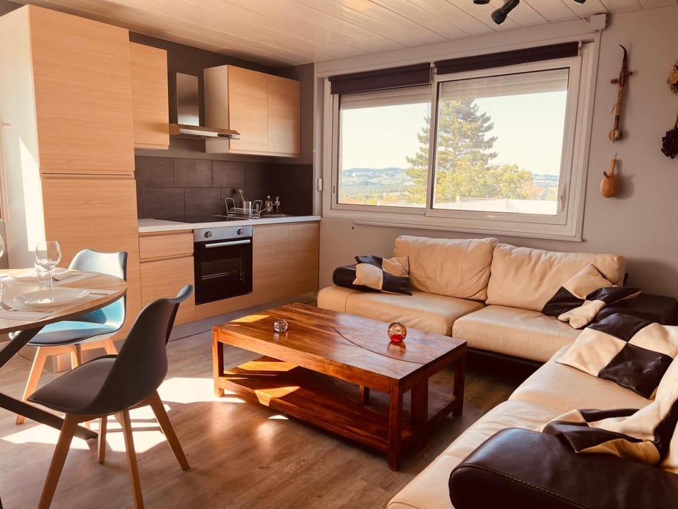Kitchen or kitchenette, Living room, Dining area, oven, stove