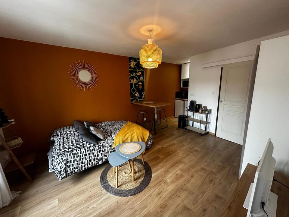 Le Petit phucket - centre ville - wifi Apartment in Nouvelle-Aquitaine