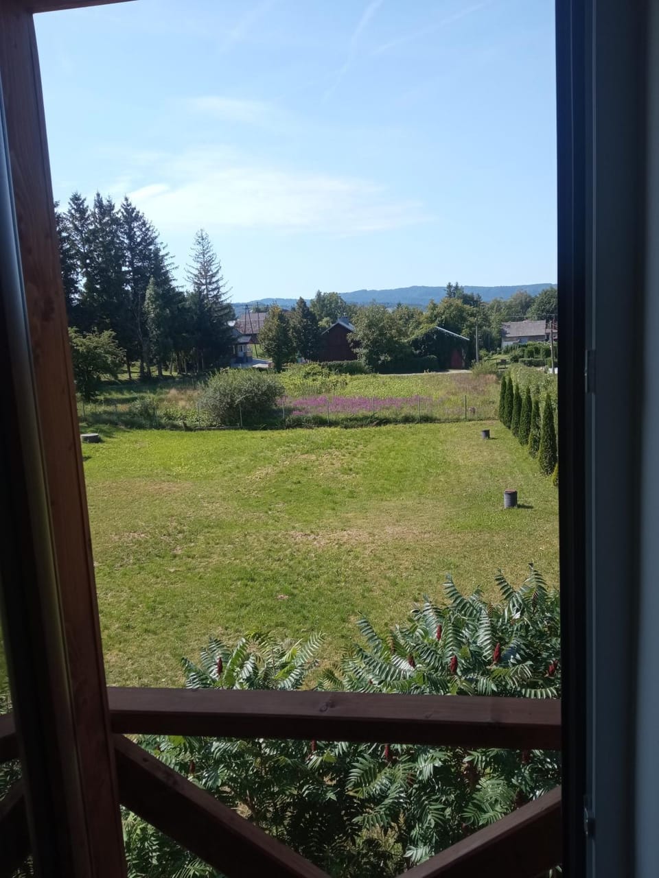 Day, Natural landscape, Garden view
