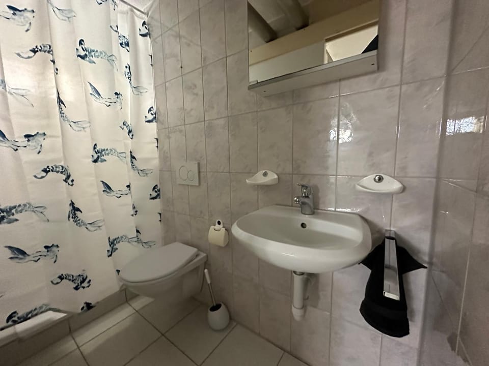 Shower, Toilet, towels