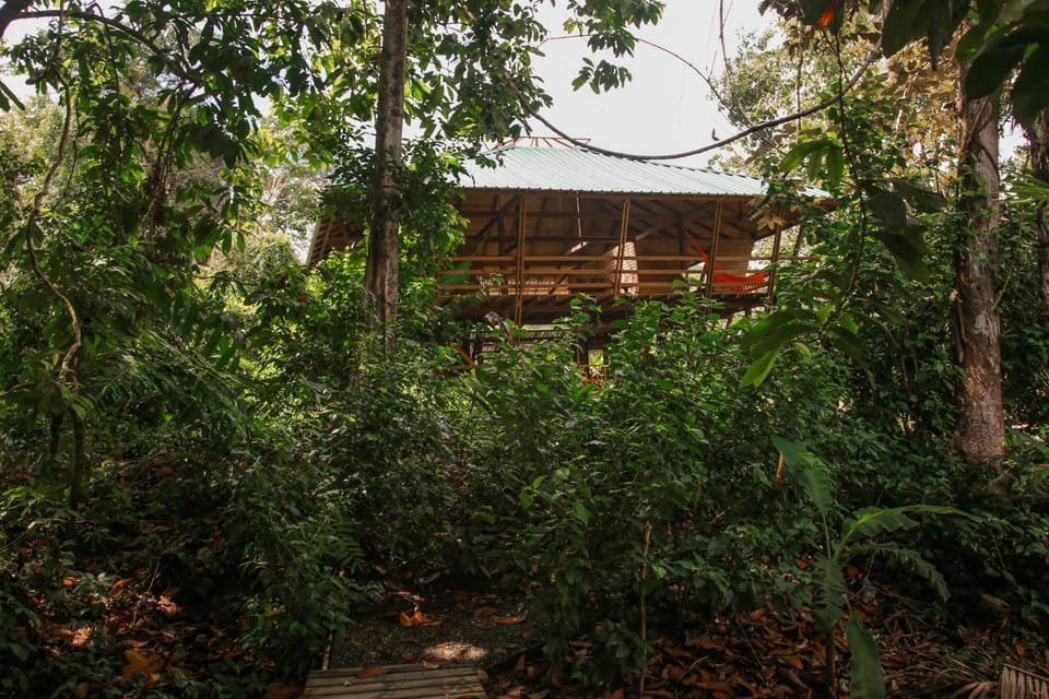 Madre Selva Eco Lodge Nature lodge in Choco, Colombia