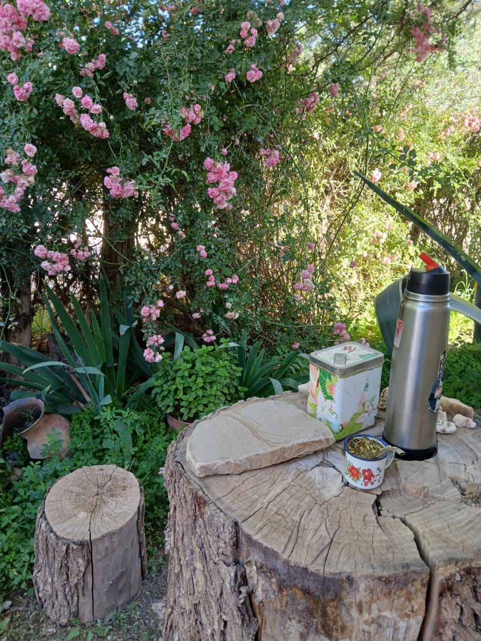 Day, Garden, Garden view