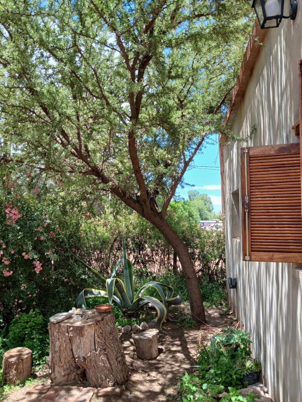 Natural landscape, Summer, Garden view
