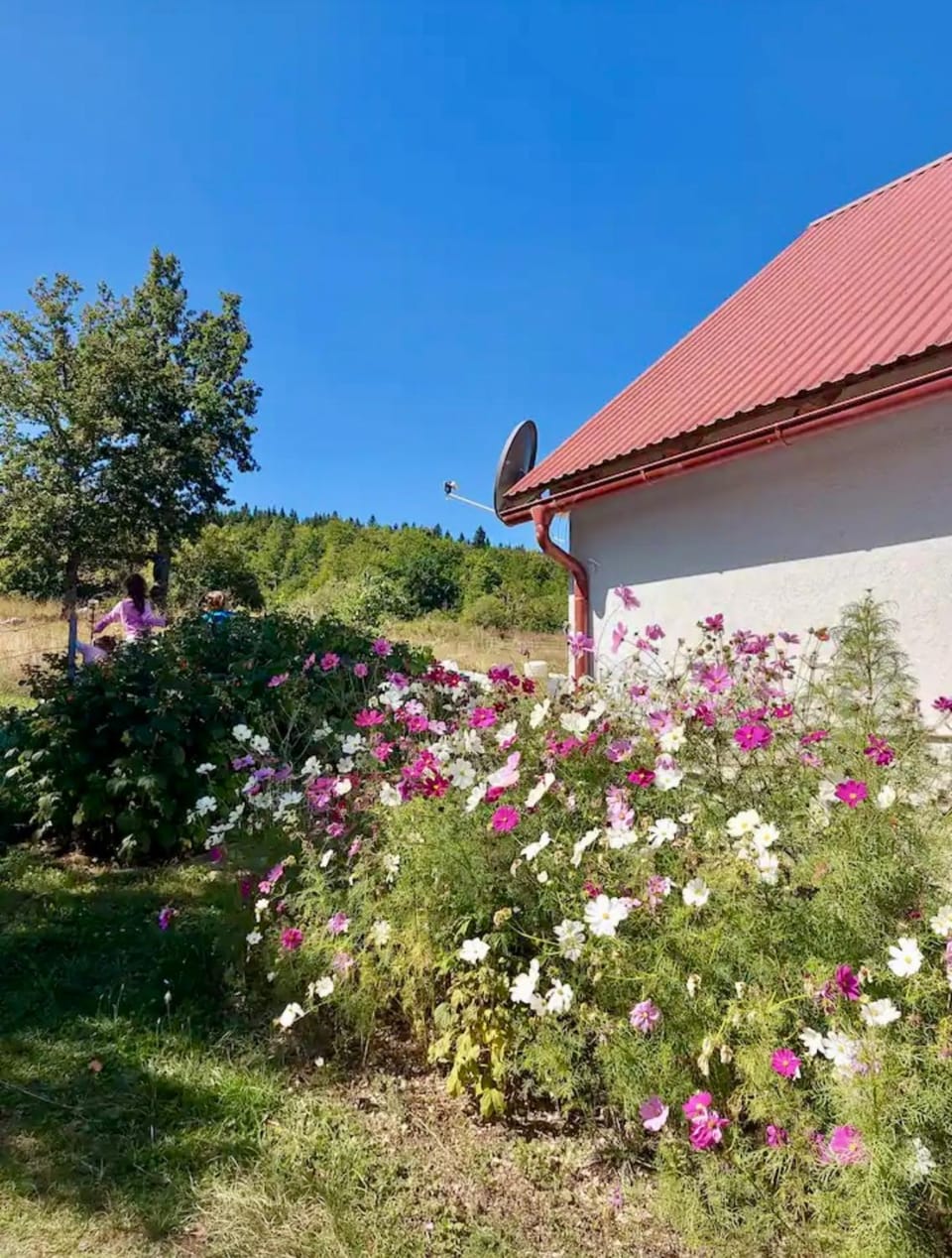 Property building, Spring, Day, Garden, Garden view